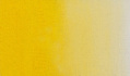 Масляная краска "Studio", 45мл, 04 Желтый (Yellow Mid)