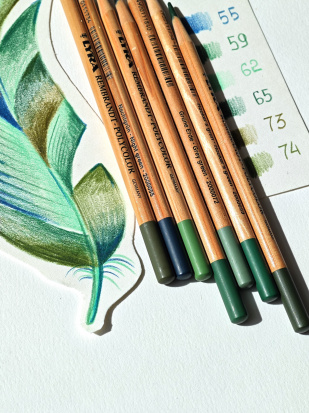 Набор цветных карандашей "Rembrandt Polycolor" зелёные оттенки, 6шт