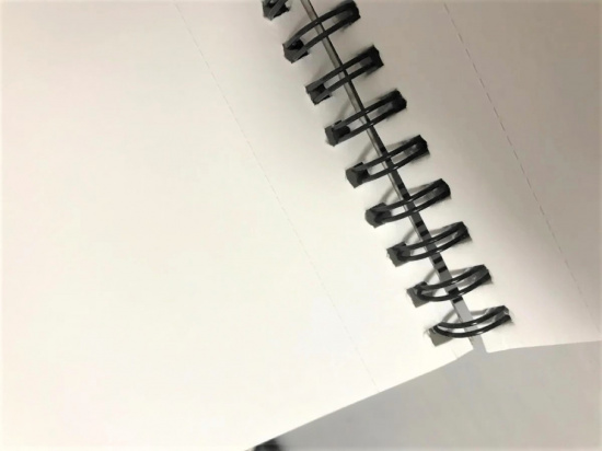 Альбом для графики "Петербургские тайны" 160г/м2 А3 40л