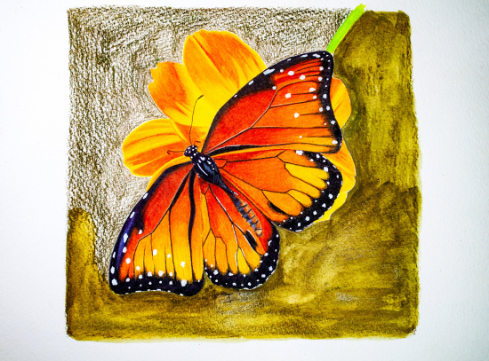 Набор карандашей акварельные "Progresso Aquarell", 12цв., метал.пенал Набор карандашей акварельные "Progresso Aquarell", 12цв., метал.пенал