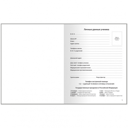 Дневник 1-4 кл. 48л. ЛАЙТ "Стиль. Bright prints", матовая ламинация sela25 Дневник 1-4 кл. 48л. ЛАЙТ "Стиль. Bright prints", матовая ламинация sela25