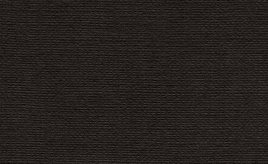 Бумага для пастели "Палаццо" Ground (черный) 160г/м2 А3 1л