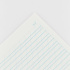 Бумага линованная листами для спенсериана, 25 листов, A4, 100г/м2