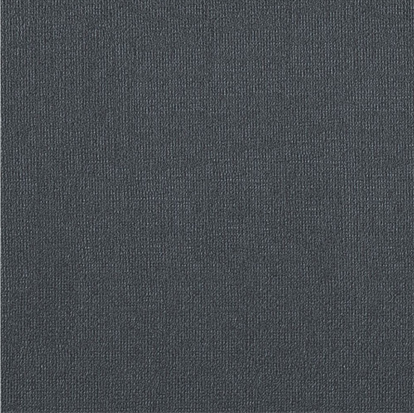 Альбом для пастели "Premium Graphitе" (серый) 160г/м2 А4 30л sela