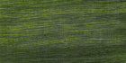 Масляная краска "Сонет", травяная 46мл