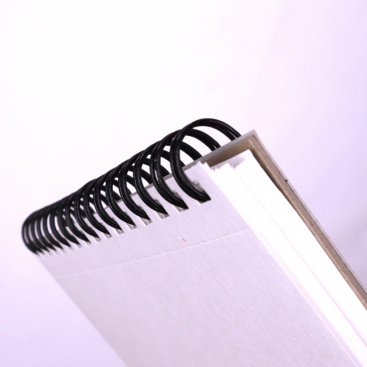 Альбом для графики "Петербургские тайны" 160г/м2 А5 40л