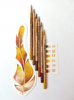 Набор цветных карандашей "Rembrandt Polycolor" коричневые оттенки, 6шт