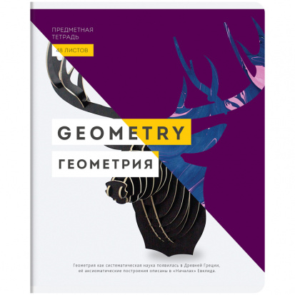 Тетрадь предметная 48л. "InVision" - Геометрия, матовая ламинация, выб. УФ-лак, 70г/м2 sela25