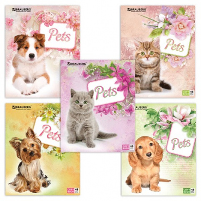 Тетрадь А5, 48 л, ЭКО, клетка, обложка картон, ЛЮБИМЧИКИ