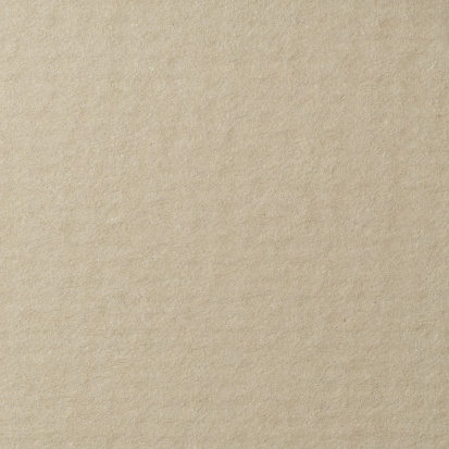 Бумага для пастели Lana цвет жемчужный 160г/м2 А4 1л 