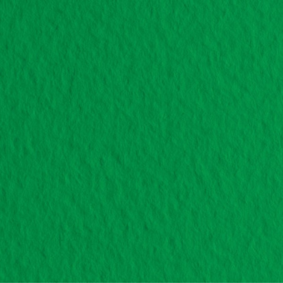Бумага для пастели "Tiziano" 160г/м2 50x65см зеленый, 10л