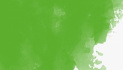 Краска для Эбру, 40мл, №06, Cалатовый (Light green)