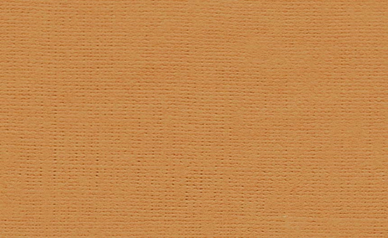 Бумага для пастели "Палаццо" Terracotta (терракота) 160г/м2 А4 1л