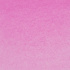 Акварель в тубе "Белые ночи", №366, 10мл, Розовый пион