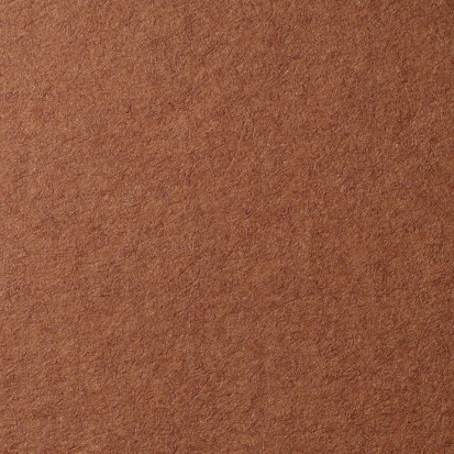 Бумага для пастели Lana темно-коричевый 160г/м2 А4 1л 