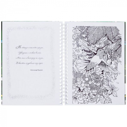 Большая книга раскрасок "Дивный сад", 32л, А5ф, 120г/м2, с твердой обложкой на гребне sela25