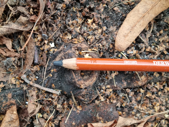 Карандаш цветной "Drawing" жженая кость 6700