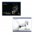 Альбом для рисования, А4, 40 л, обложка картон, "Благородные кони"