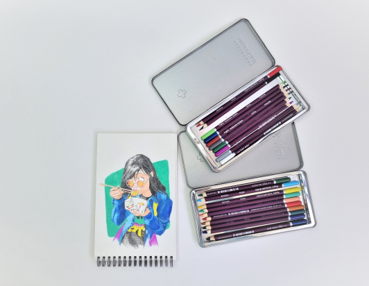 Набор цветных карандашей Vista Artista "Gallery" розовые оттенки, 6шт
