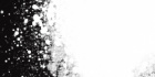 Аэрозольная краска "Trane Black", №9103, Белый матовый, 400мл