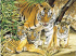 Набор "Рисование по номерам" - "Тигр с детенышами"
