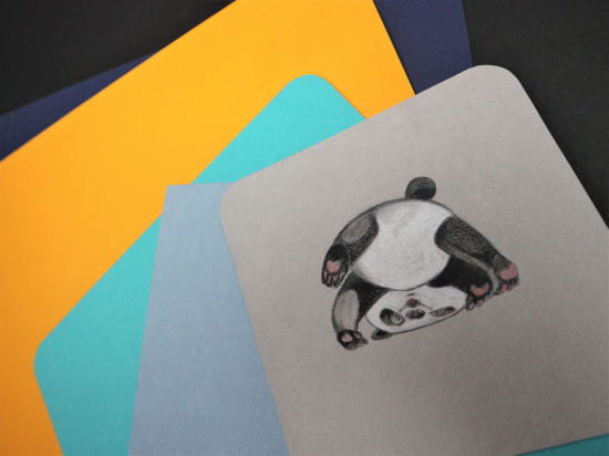 Бумага для пастели Mi-Teintes 160г/м.кв 50*65см №103, розовый,10л