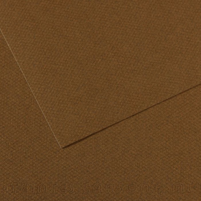 Бумага для пастели Mi-Teintes 160г/м.кв 50*65см №501, каштановый,10л