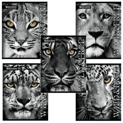 Тетрадь А5, 48 л, ЭКО, линия, обложка картон, ДИКИЕ И СВОБОДНЫЕ