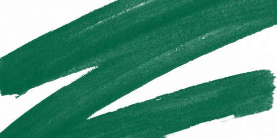 Маркер спиртовой двусторонний "Sketchmarker Brush", цвет №G100 Зеленый