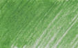 Карандаш цветной "Coloursoft" зеленая земля C420
