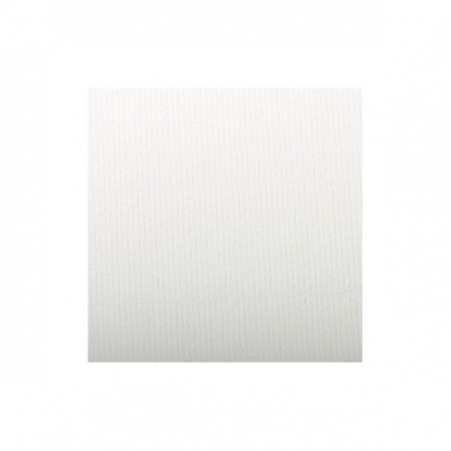 Бумага Ingres, для пастели, 130 гр/м2 1 лист, 50х65 см, цвет белый, 130г/м2 50х65см 1л