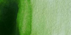 Акварель художественная, 5 мл, зеленая крушина, перманентный sela