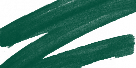Маркер спиртовой двусторонний "Sketchmarker Brush", цвет №G120 Темный зеленый