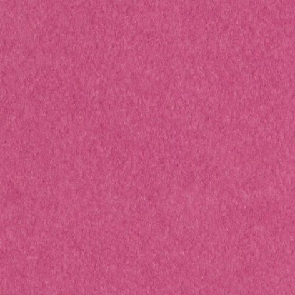 Склейка для пастели "Фуксия" (Цветы)  200г/м2  А-3 (297х420) 20 л