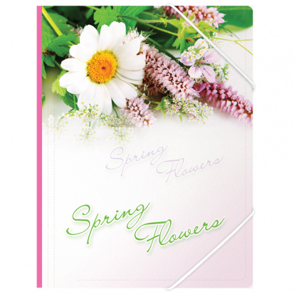 Папка на резинке "Spring Flowers" А4, 550мкм