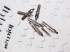 Набор перьев для каллиграфии Малевичъ, 9шт с прямым держателем