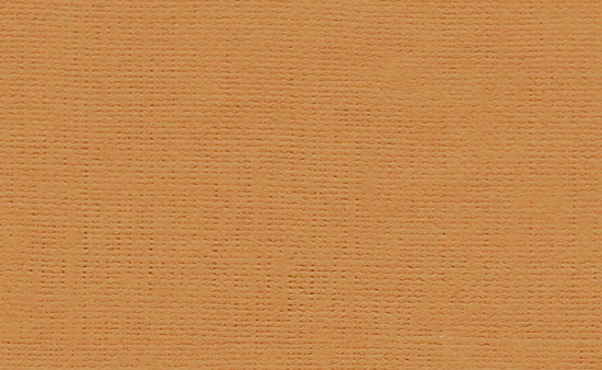 Бумага для пастели "Палаццо" Terracota (терракотовый) 160г/м2 А3 1л