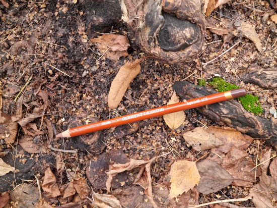 Карандаш цветной "Drawing" сепия красная 6110