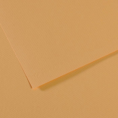 Бумага для пастели Mi-Teintes 160г/м.кв 50*65см №340, конопляный,10л