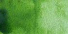 Акварель "Cotman" зеленая крушина 8мл