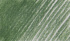 Карандаш цветной "Coloursoft" зеленый средний C400