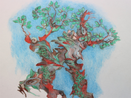 Цветной карандаш "Polycolor", №600, алый светлый Цветной карандаш "Polycolor", №600, алый светлый