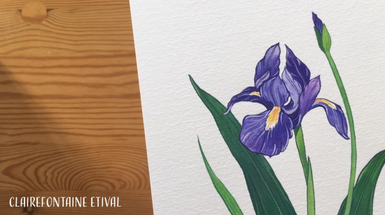 Бумага для акварели "Etival", 10л, 50x65см, 200г/м2, Grain fin \ Cold pressed