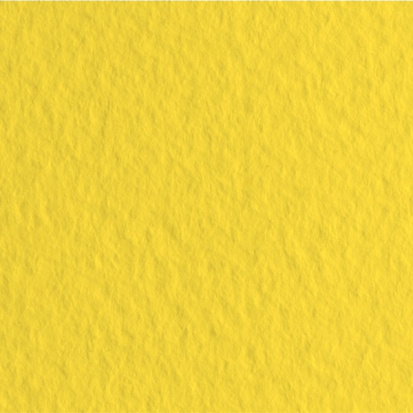 Бумага для пастели "Tiziano" 160г/м2 50x65см лимонный 1л