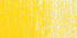Пастель сухая Rembrandt №2025 Тёмно-жёлтый 