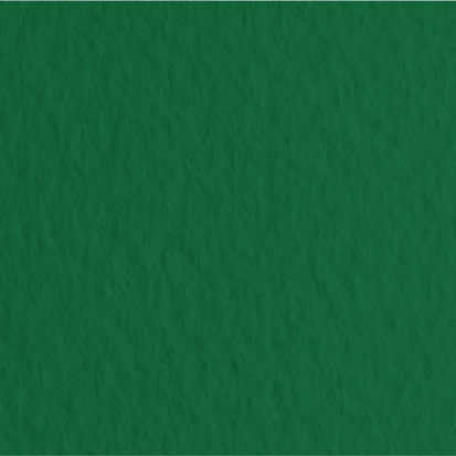 Бумага для пастели "Tiziano" 160г/м2 50x65см зеленый темный, 10л