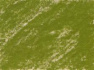Карандаш пастельный "Pitt" землянисто-зеленый с желтизной 
