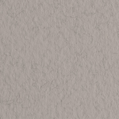 Бумага для пастели "Tiziano" 160г/м2 50x65см серый теплый, 10л