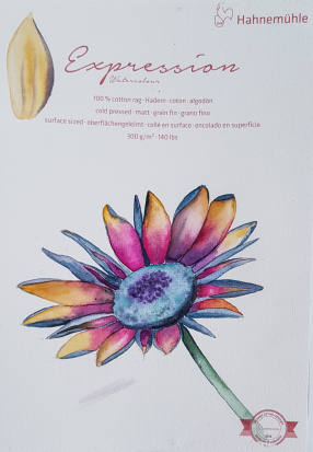 Склейка для акварели "Expression", 300г/м2, 30х40см, 100% хлопок, 20 л, Grain fin
