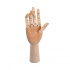 Модель руки с подвижными пальцами R - правая
